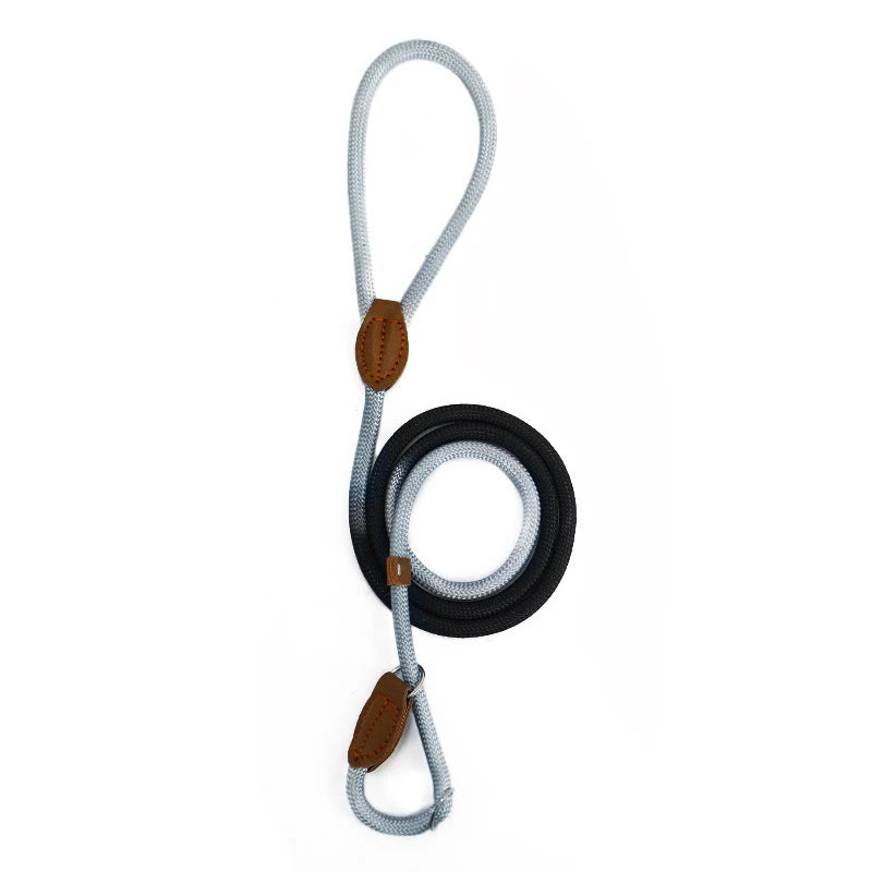 Braided Slip Lead for Dogs