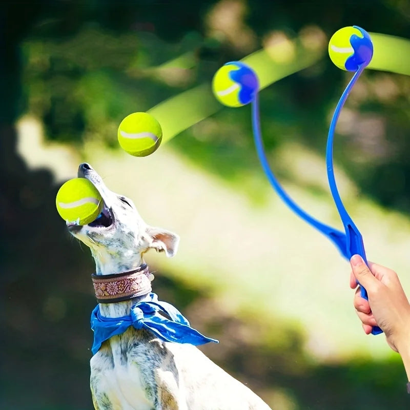 Dog ball launcher stick with a tennis ball in the park – photo 4