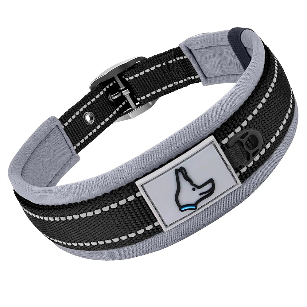 Padded Reflective Dog Collar with Neoprene Lining