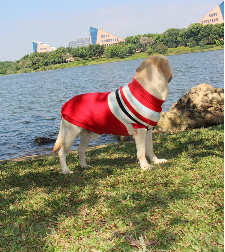Christmas Reindeer Knitted Dog Jumper