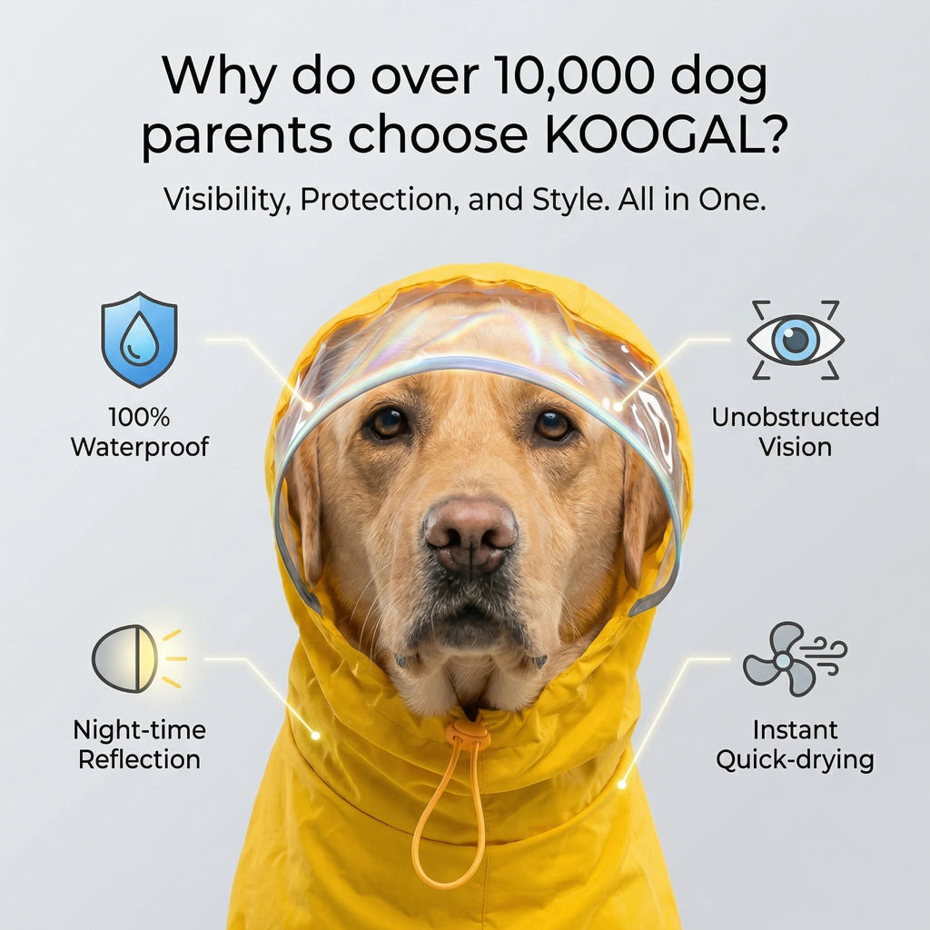 Hooded Waterproof Raincoat for Medium & Large Dogs