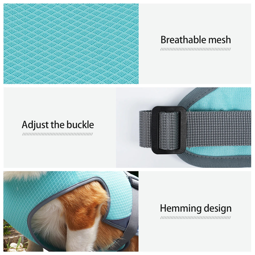Dog wearing a lightweight breathable cooling vest with reflective strips – photo 4