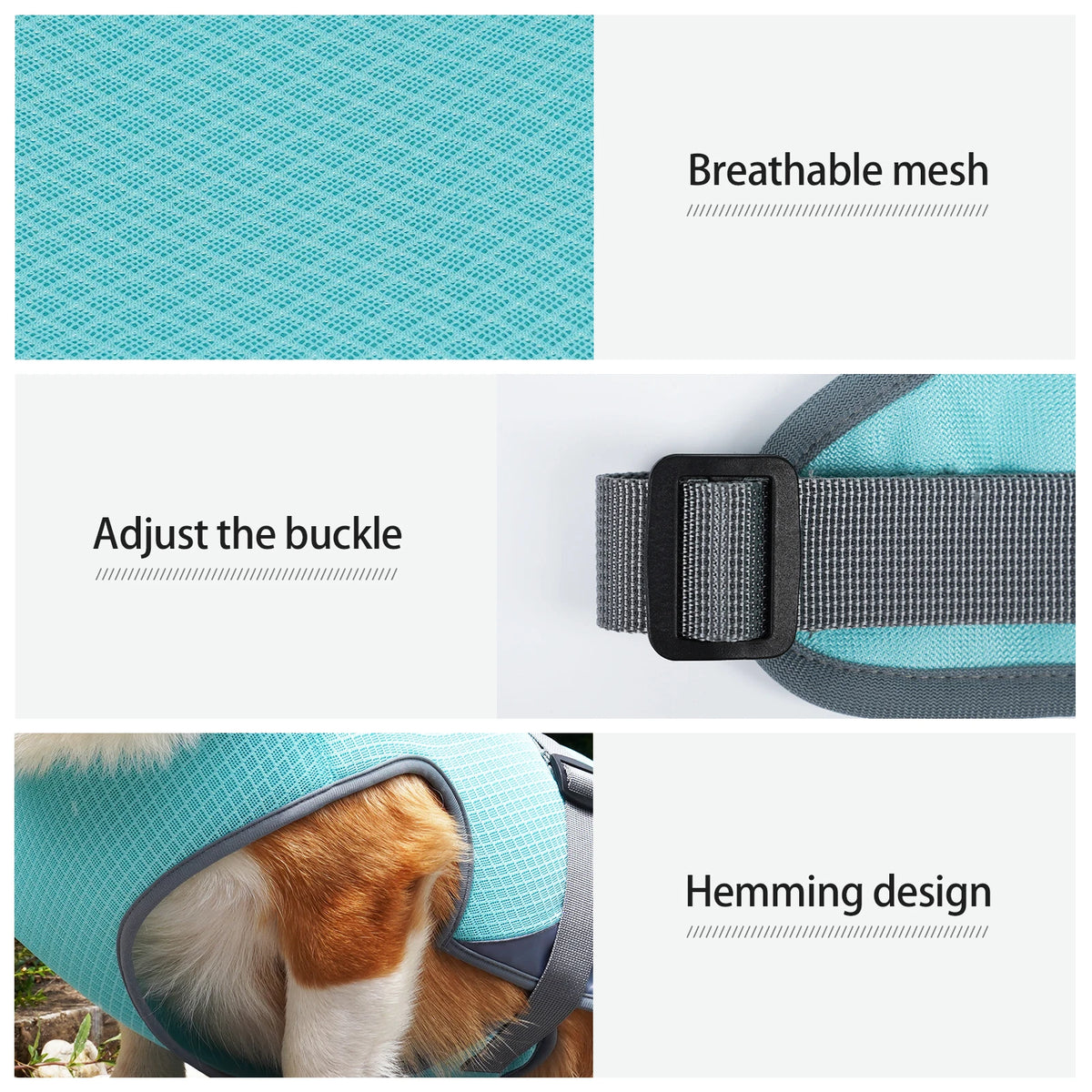 Dog wearing a lightweight breathable cooling vest with reflective strips – photo 4