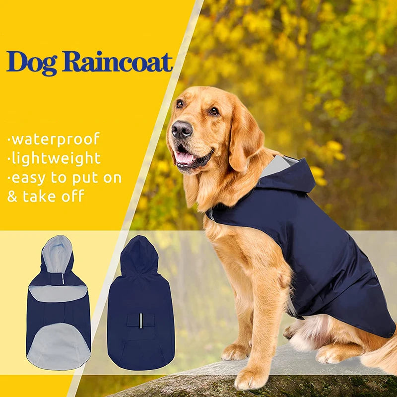Dog wearing a reflective hooded raincoat on a rainy walk – photo 4