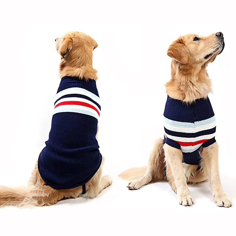 Dog wearing a Christmas reindeer knitted jumper – photo 6