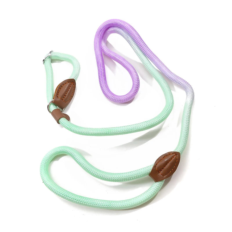Braided Slip Lead for Dogs