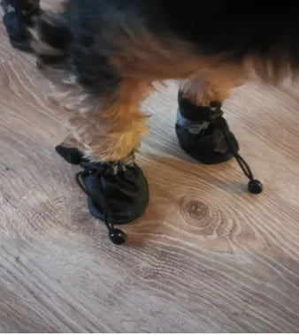 Waterproof anti-slip dog boots – photo 10