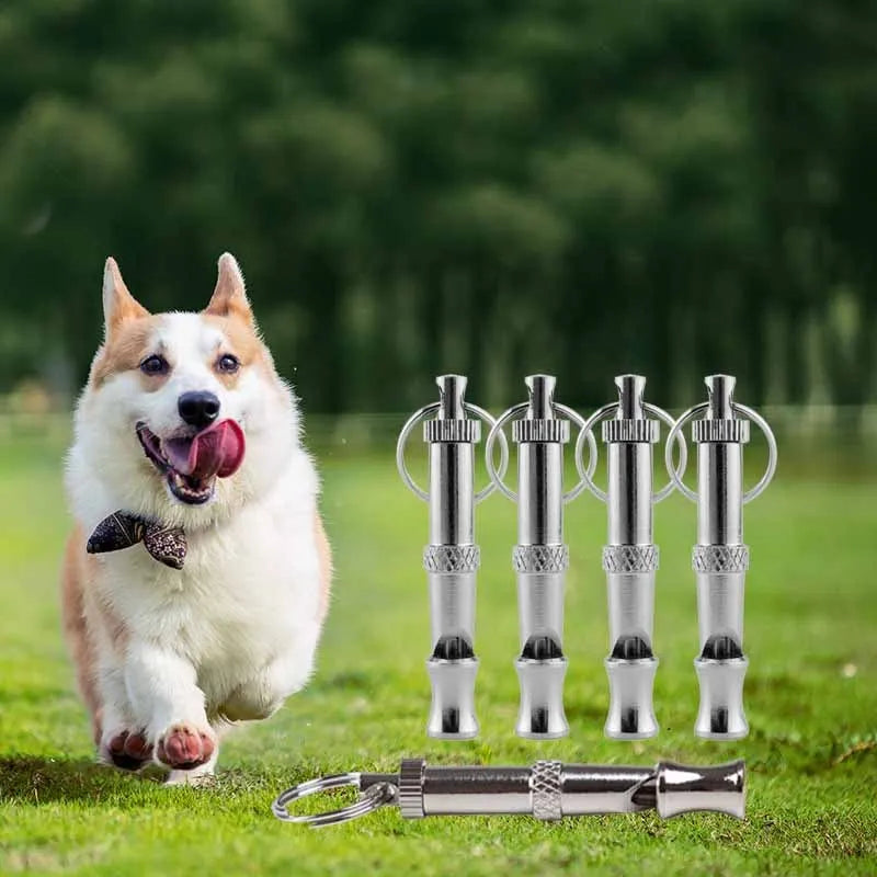 Silver stainless steel dog whistle with keyring – photo 4