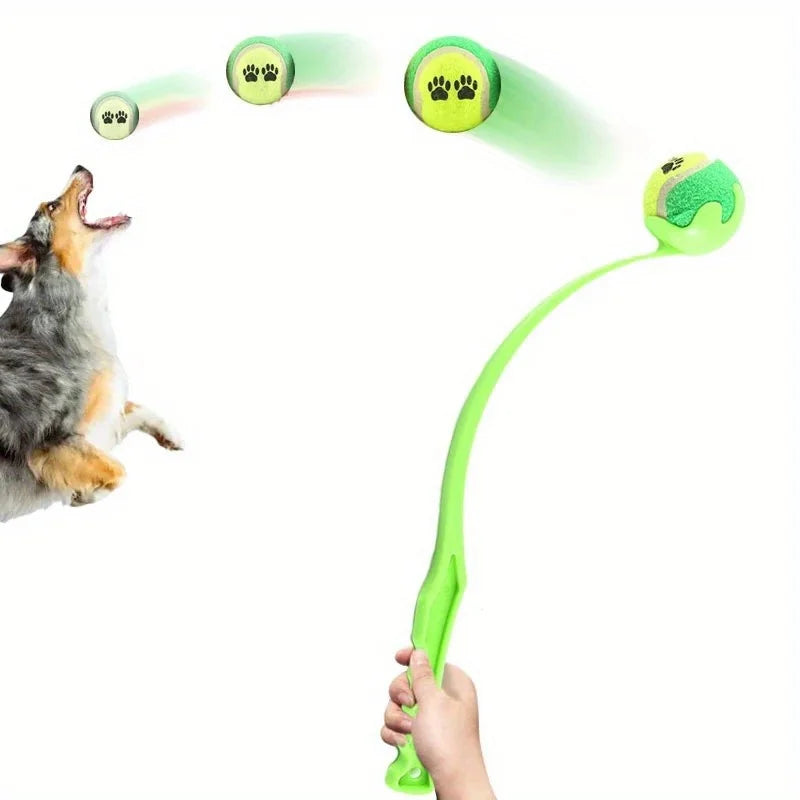 Dog ball launcher stick with a tennis ball in the park – photo 6