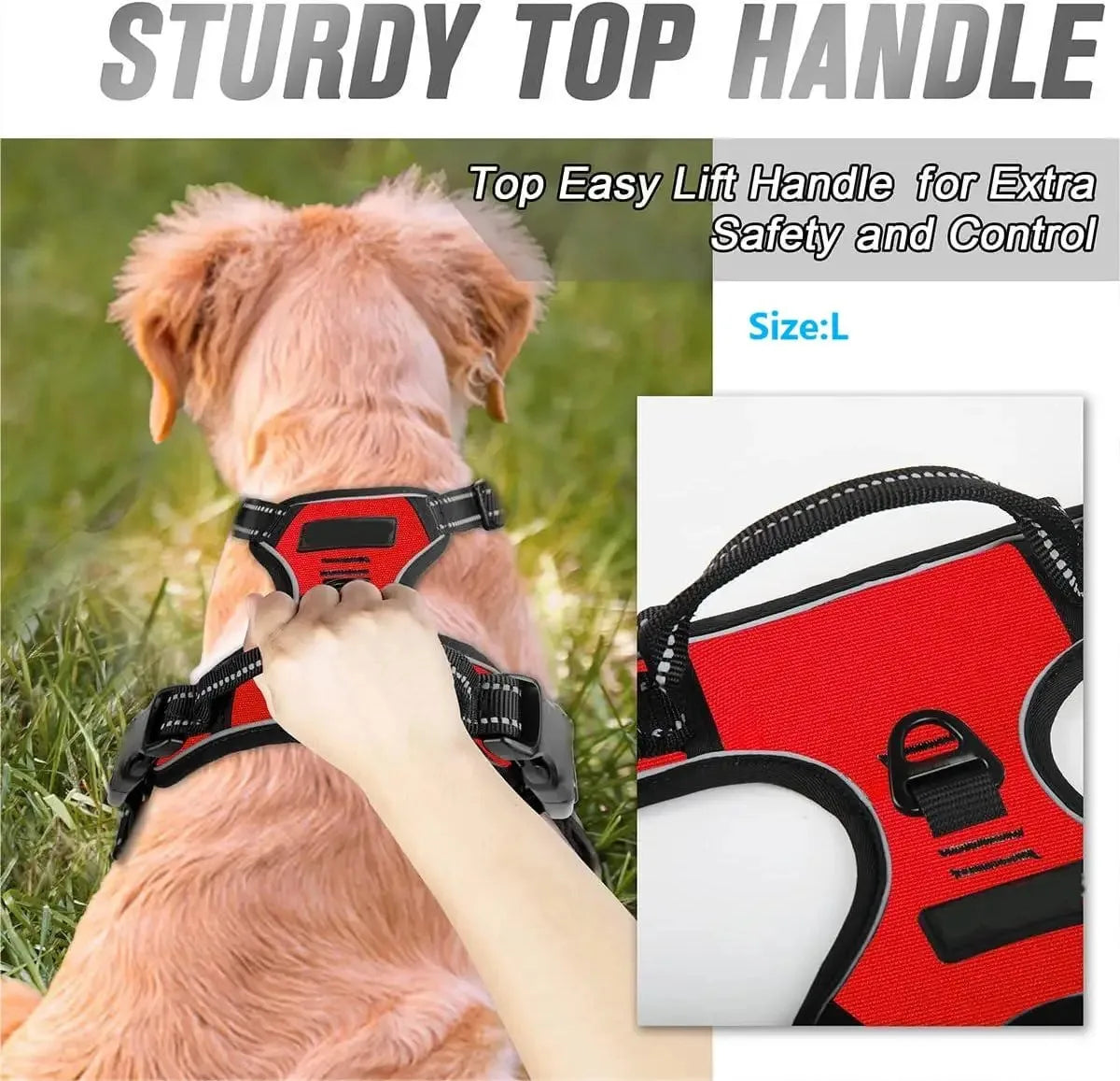 Colourful vest dog harness – photo 4