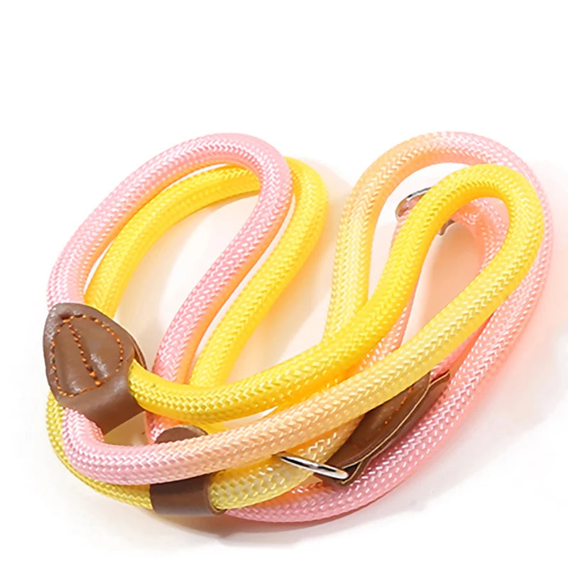 Braided Slip Lead for Dogs