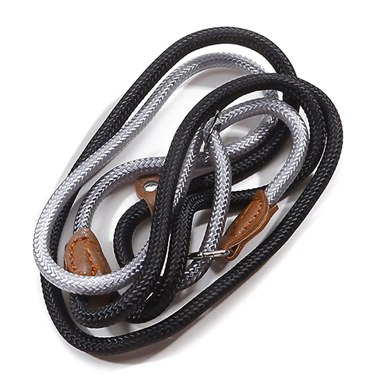 Braided Slip Lead for Dogs