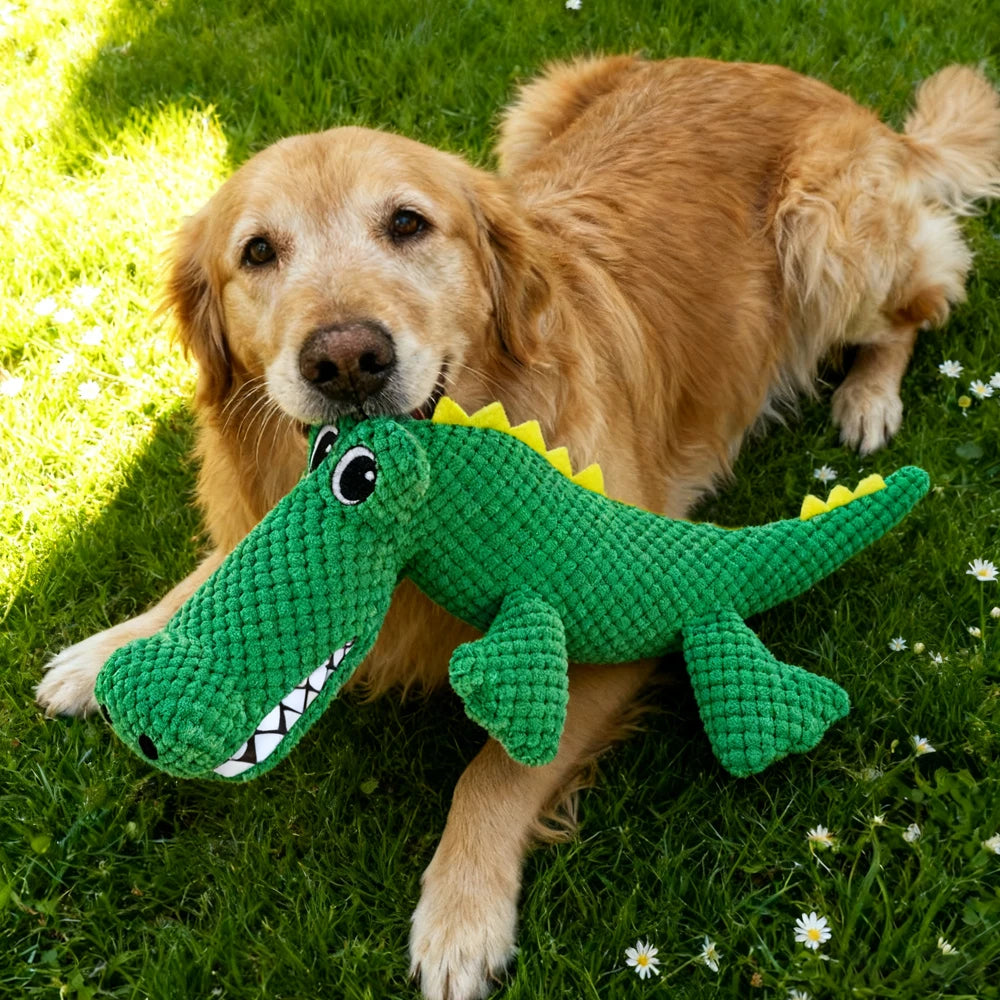 Green squeaky crocodile plush toy for dogs and cats – photo 2
