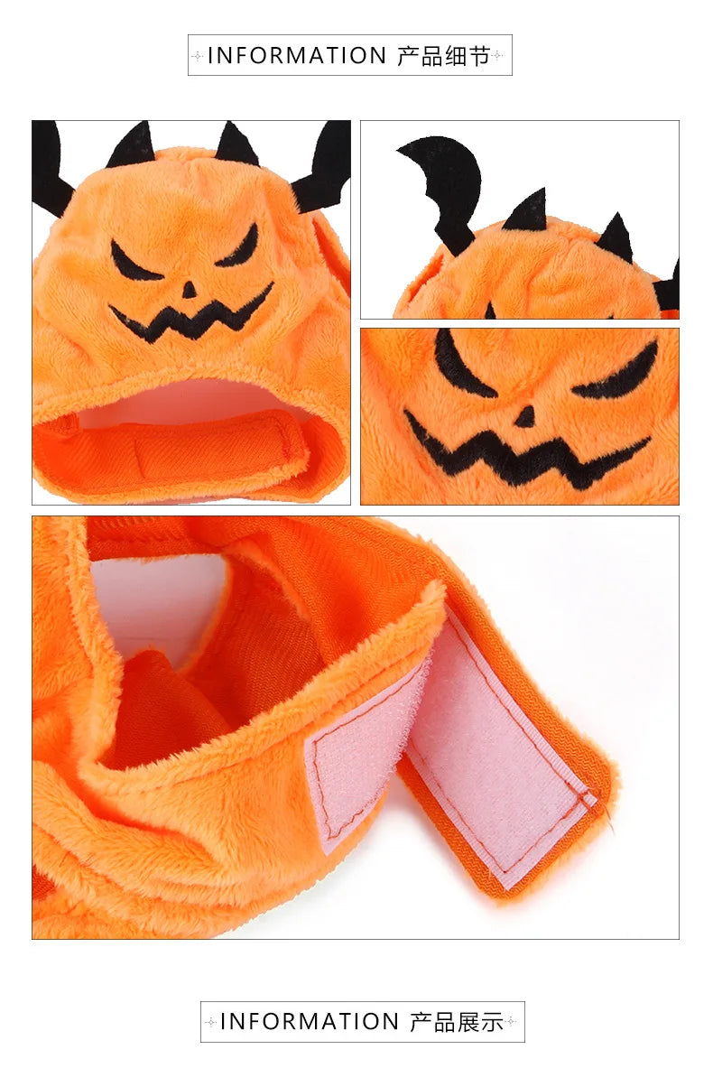 Halloween Bat Hat for Cats & Small Dogs