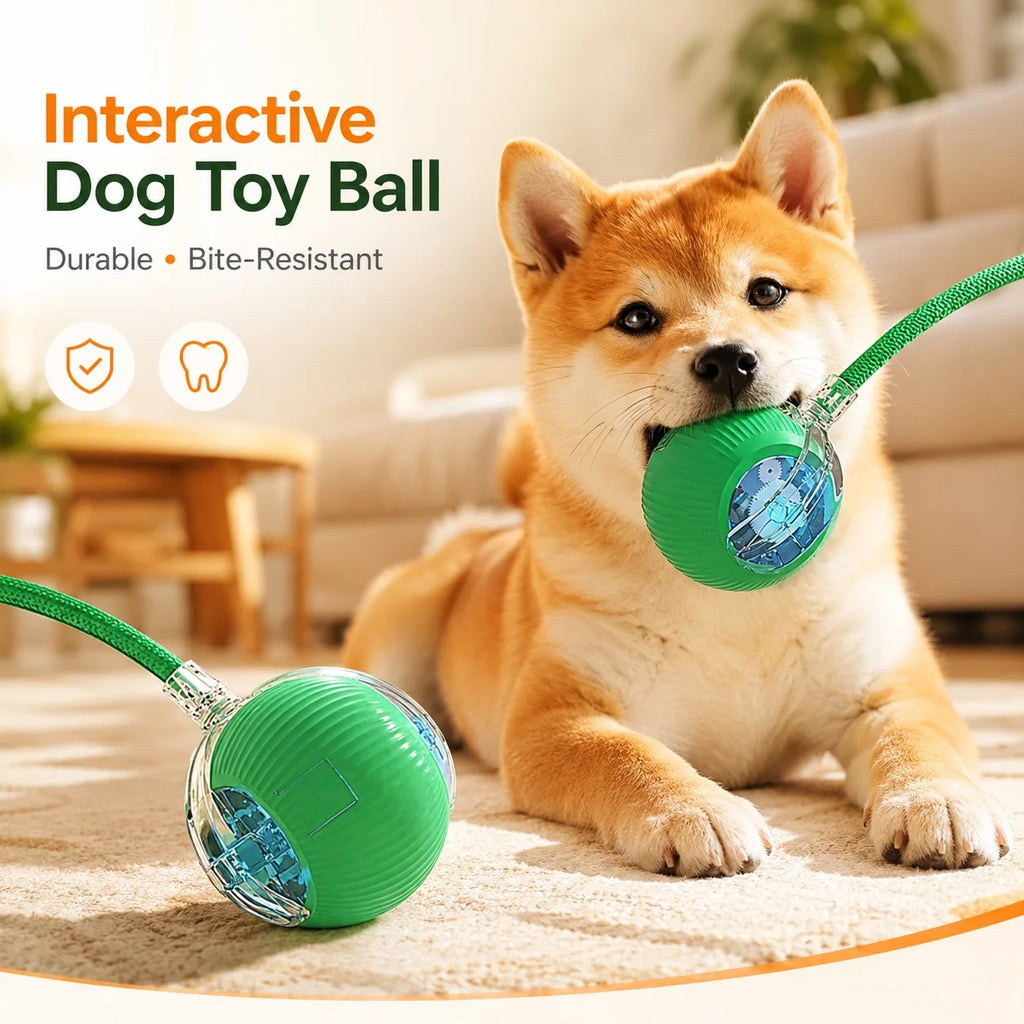 Automatic rolling ball toy for dogs with tail – photo 11
