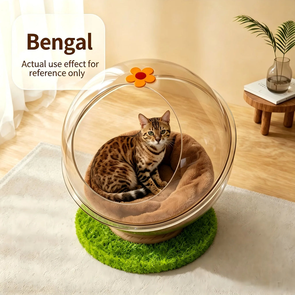 Space Capsule Cat Bed with Clear Dome & Stand