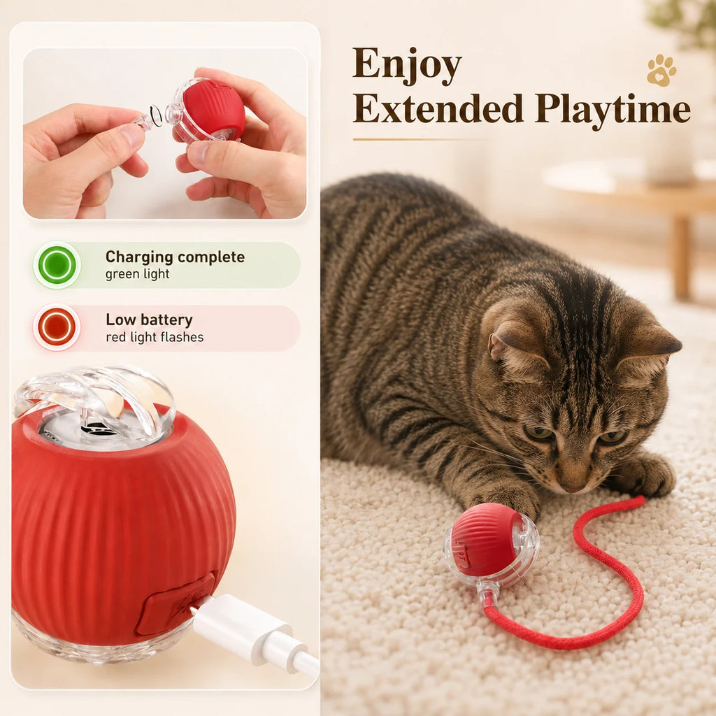 Rechargeable Automatic Rolling Ball for Cats