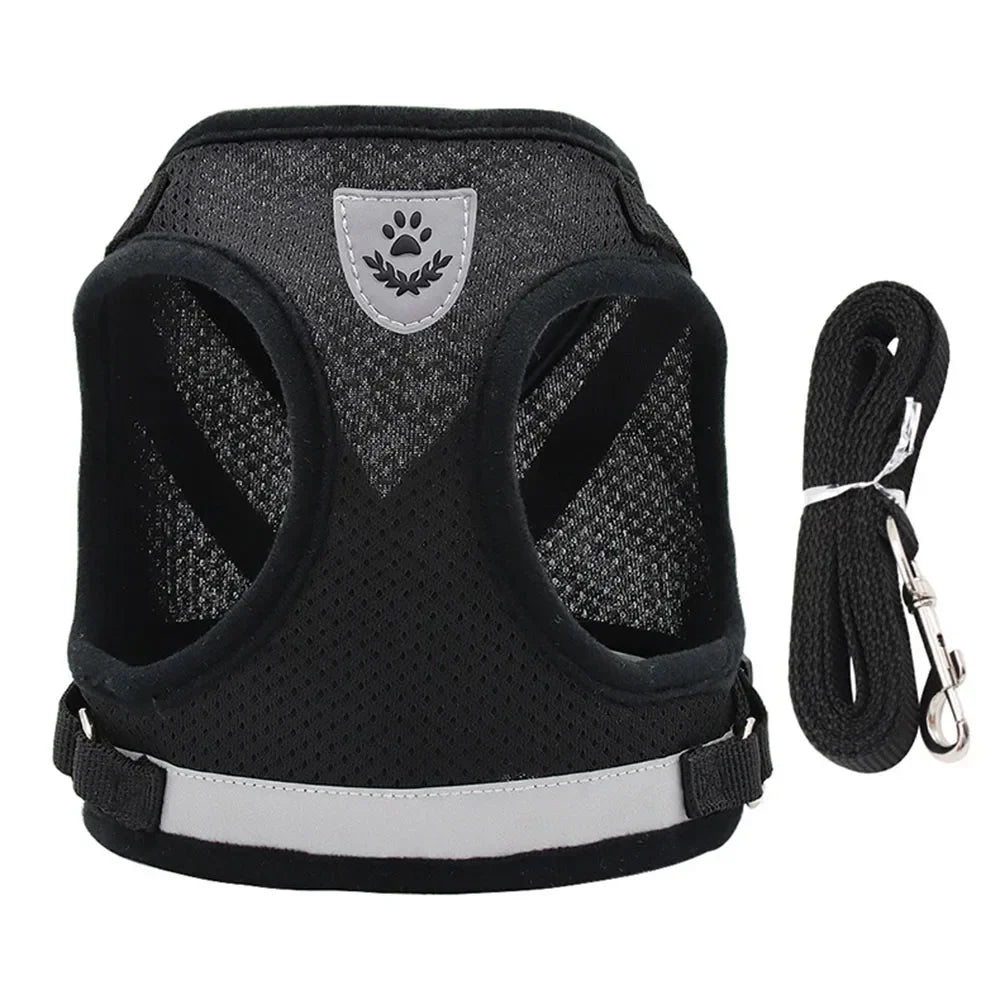 Reflective Mesh Harness & Lead Set for Cats