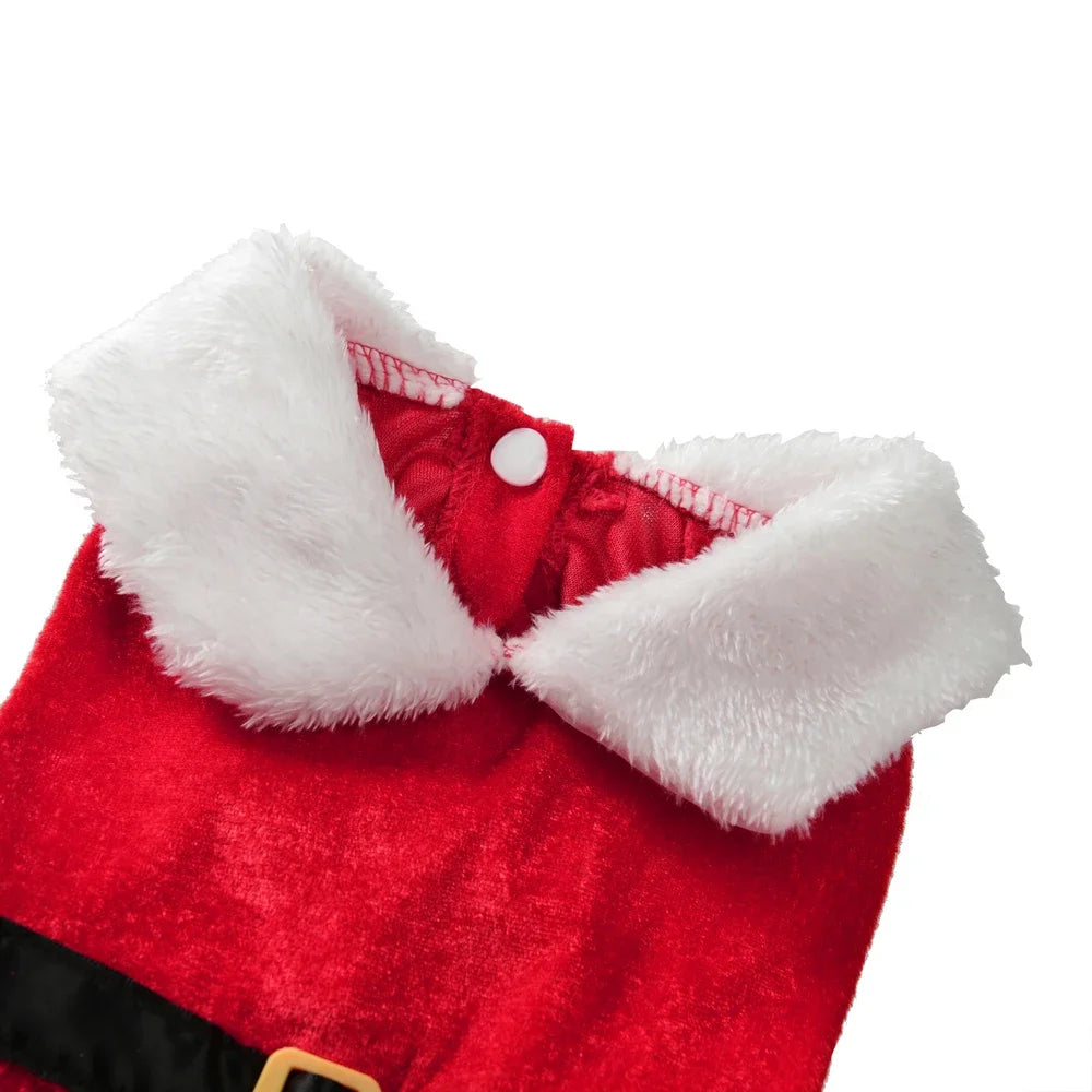 Cat wearing a red Santa Christmas dress – photo 9