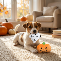 Halloween Squeaky Plush Dog Toy, Ghost or Pumpkin